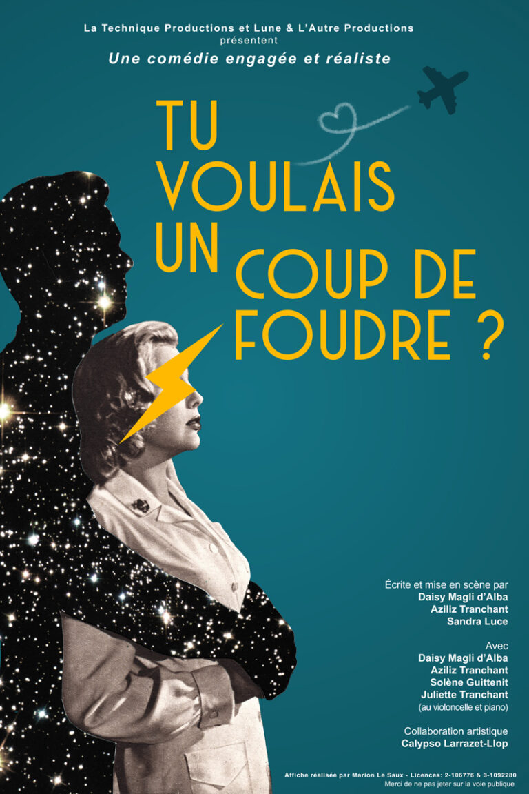 Affiche Tu voulais un coup de foudre ?